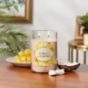 Glass Jar Mango Coconut Candle - Opalhouse™ -Opalhouse Homeware GUEST 86c199ef 4f61 4e98 b724 4f64945e7439