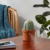Cactus Ultrasonic Diffuser Green - Opalhouse™ -Opalhouse Homeware GUEST be681bb5 49e3 41f7 99a3 5bc52fb79585